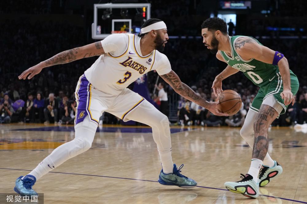 因为它不仅 因为它不仅